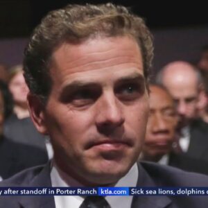 Hunter Biden faces federal charges