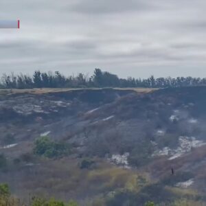 1 person arrested in Vegetation fire put out near the Allan Hancock College Lompoc campus