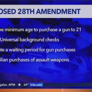 Newsom proposes constitutional amendment to curb gun violence