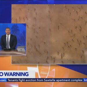Officials warning of bad mosquito season in Orange County