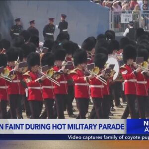 British soldiers faint amid high heat as Prince William reviews military parade