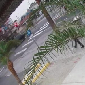Police release video of hit-and-run that critically injured pedestrian