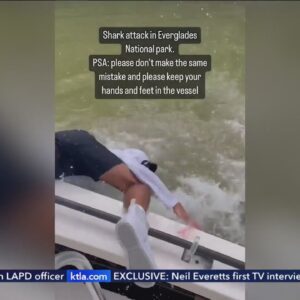 Shark pulls guy off boat in crazy Florida attack