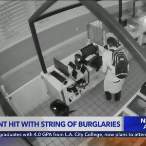 Store in Larchmont hit with string of burlgaries