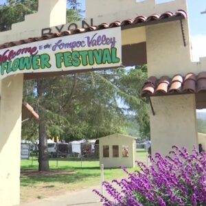 The 70th Annual Flower Festival returns to Lompoc