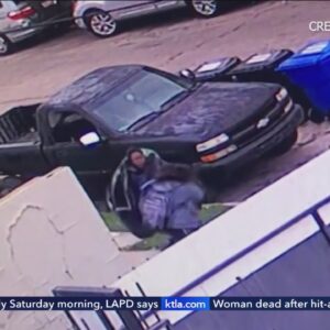 Video captures man rescuing young girl in South Los Angeles attack