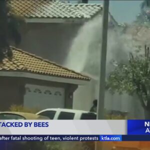 Woman attacked by bees in Murrieta, California