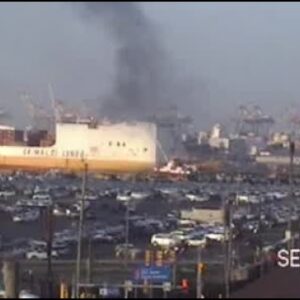 2 firefighters die in cargo ship fire