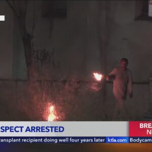 Arsonist caught on camera setting fires in downtown Los Angeles