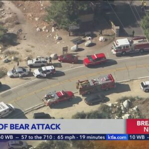Authorities responding to reports of bear attack near Mt. Baldy