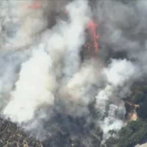 Brush fire breaks out in Sylmar, grows to 50 acres