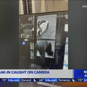 Camera captures burglars break into Hollywood store