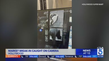 Camera captures burglars break into Hollywood store