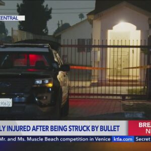 Child struck by bullet while watching fireworks in South L.A.