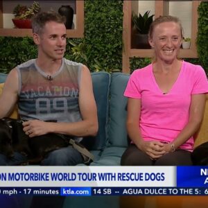 Couple travels around the world with rescue dogs