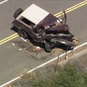 Driver killed when SUV plunges off roadway