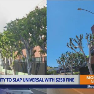 City of Los Angeles fines Universal Studios $250 in connection with illegal tree cutting 