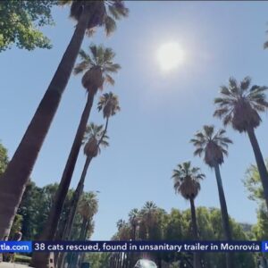 Heatwave, fire danger cover Southern California for July 4th weekend