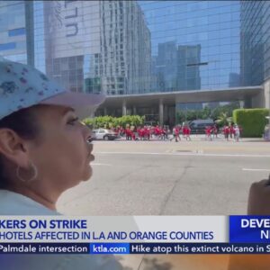 Hotel workers on strike