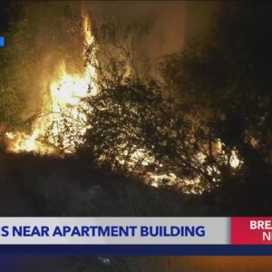 Burning trees threaten Studio City apartment building; man seen walking away from fire