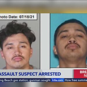 Man arrested in series of attacks on women in L.A.
