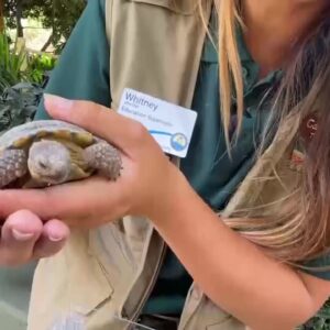 New Ranger Station attraction draws hundreds of familes to Santa Barbara Zoo