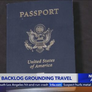 Passport backlog grounding travel