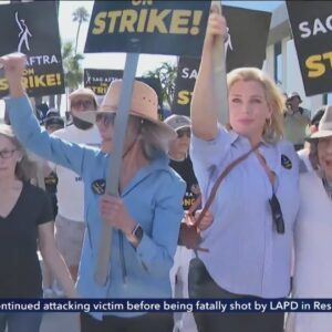 Nonprofit aims to support Hollywood actors and writers on the picket lines