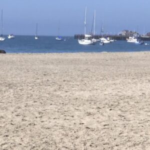 Surfrider leads beach cleanup before Fiesta