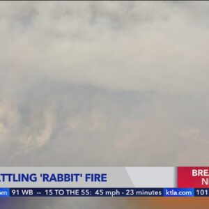 Fast-moving wildfire breaks out in Riverside County, 600 acres and growing