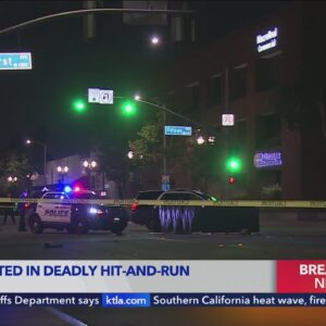 Teen arrested after deadly hit-and-run in Arcadia