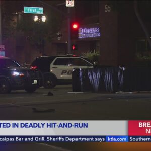 Teen arrested after fatal hit-and-run in Arcadia