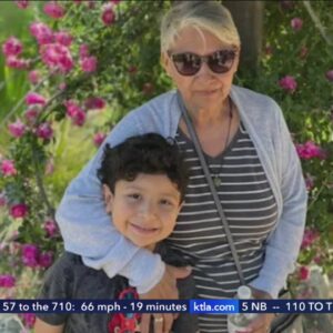 Family speaks out after 5-year-old, grandmother killed by wrong-way driver in Van Nuys