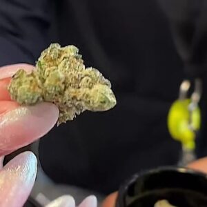 Ventura County's first cannabis lounge ready to roll out grand opening