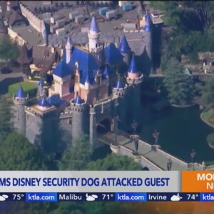 Nevada man files lawsuit against Disneyland after alleged attack by security dog