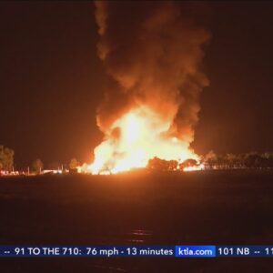 Animals evacuated after massive fire erupts at Ontario farm