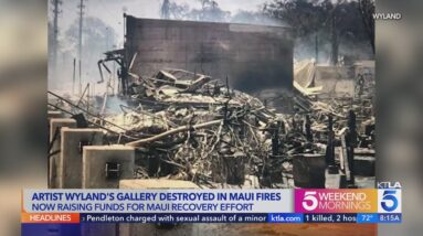 Artist Wyland's gallery destroyed in Maui wildfires