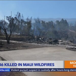 At least 36 killed in Maui wildfires