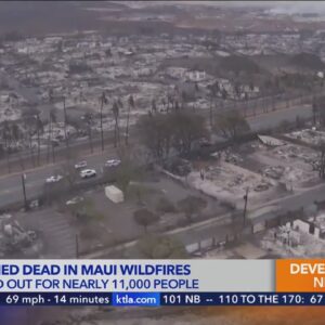 At least 55 people confirmed dead in Maui wildfires