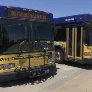 Santa Maria introduces new bus route, offering free fares on all routes for next two weeks