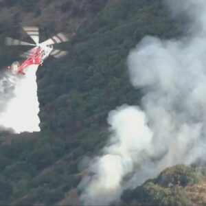 Crews fighting small brush fire in Hollywood Hills