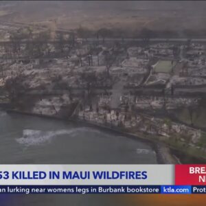 Death toll in Maui wildfires rises to 53