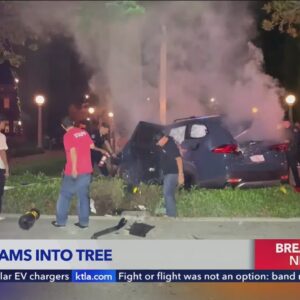 Driver in critical condition after slamming into tree in Orange