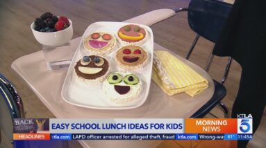 Easy school lunch ideas for kids