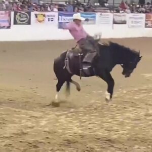 Fiesta Rodeo wraps up with sellout crowd