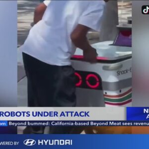 Food delivery robots under attack from vandals, thieves