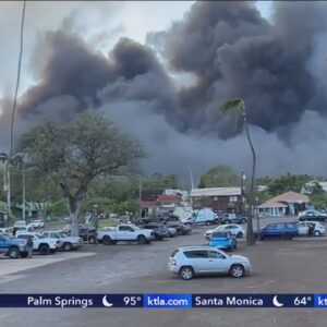 Maui's emergency services chief resigns after criticism for not activating sirens during wildfire
