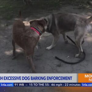 Laguna Beach looks to muzzle excessive barking