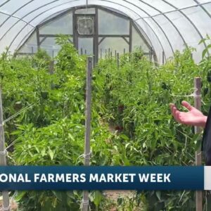 Local farmer’s markets prep for National Farmer’s Market Week