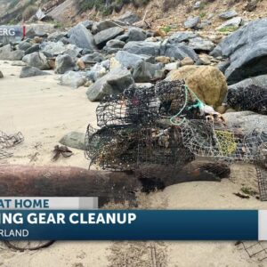 Local fishermen join in a cleanup